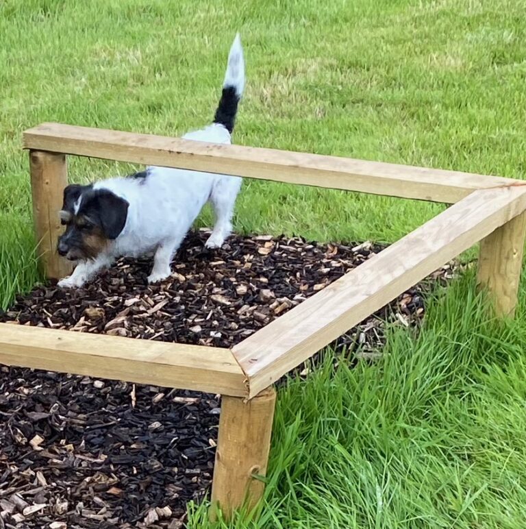 2258 46b534e81c5acc2f484db1f871ff0961 1 768x772