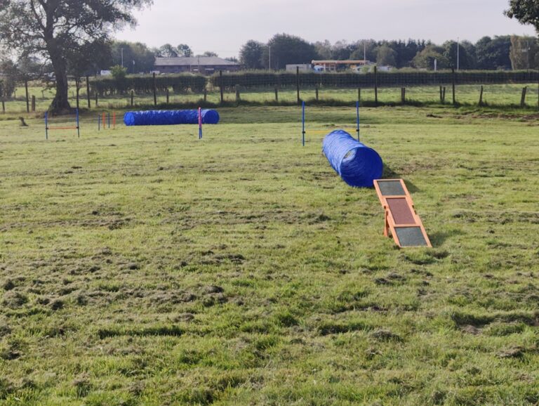 2261 1b9d020a94ea65e358f511648c329d43 1 768x578