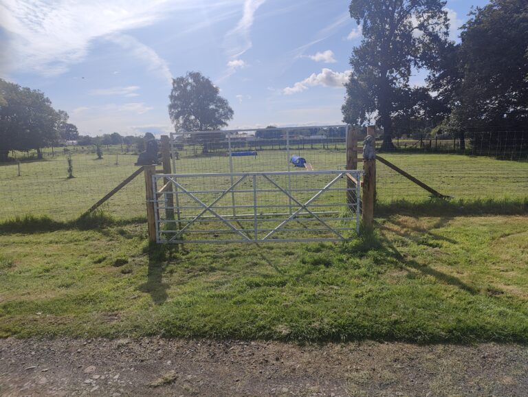 2261 40d5826e77e65ff559b72ea2ce230471 1 768x578