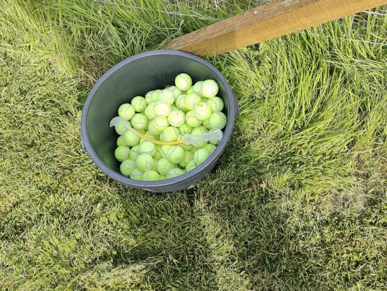 2261 e88ada5aa3f8b555a9cc6018a32ed02d 1 768x578