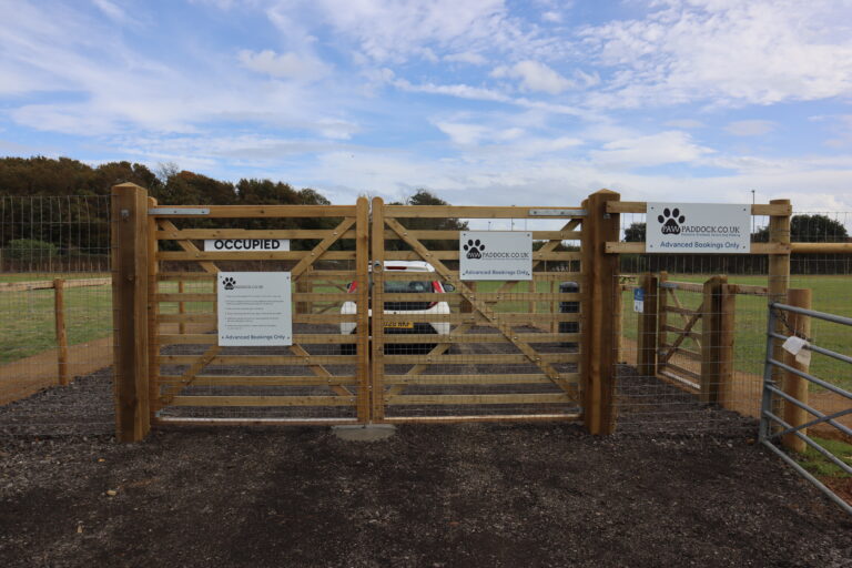 2267 9a08fdeea03cd4cb3f23fba7e237ff73 1 768x512