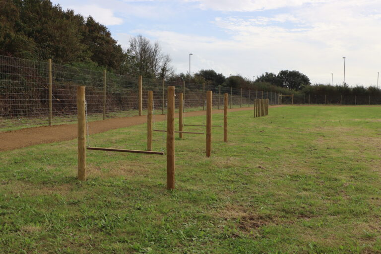 2267 ce0be191472f4d9c7e2a04ae69f1a35b 1 768x512