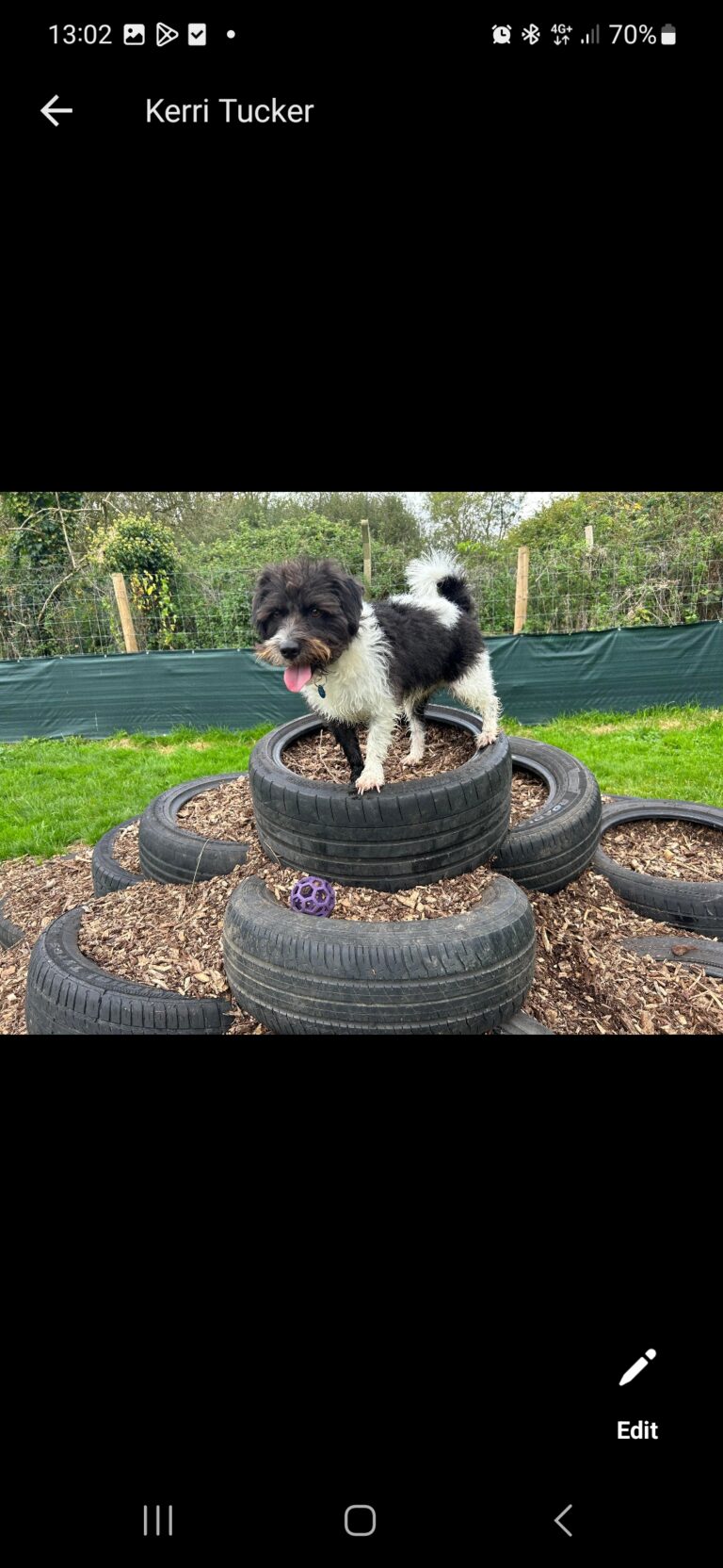 2272 4899a5adf4a221701d78a50671d10651 1 768x1664