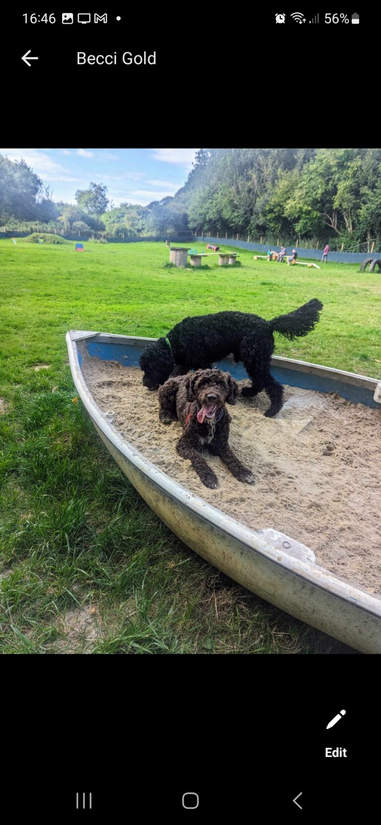 2272 6391c5ce436de445b30904a3ad4d4ffc 1 768x1664