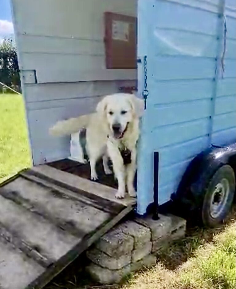 2273 53a3574e5471a9b1480d0315f7410b4b 1 768x940