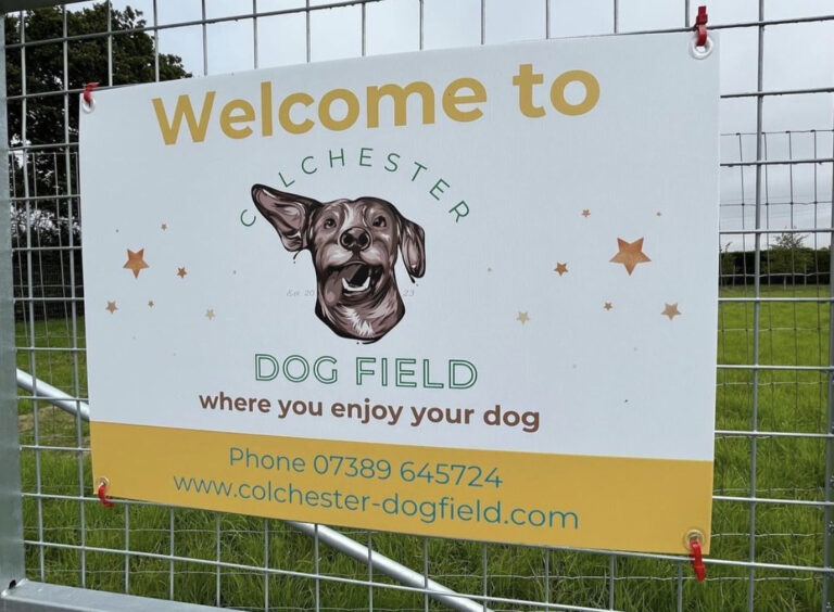 2273 7129c844217a12840bcc322b979cee3e 1 768x564