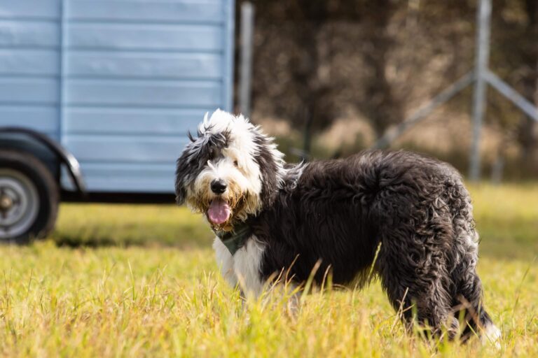 2273 edbedb3596125b00d73f35d8e263db59 1 768x512