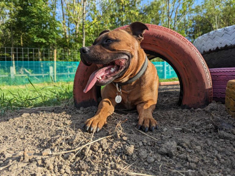 2296 1fdf419188d9814c3ccb46f22facebea 1 768x578