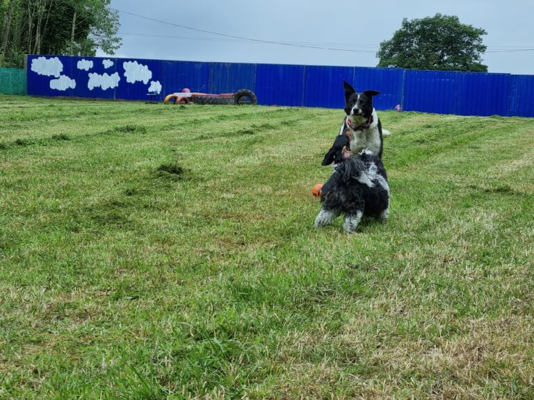 2296 31850f16fe887081d8072ac2692fec9a 1 768x576