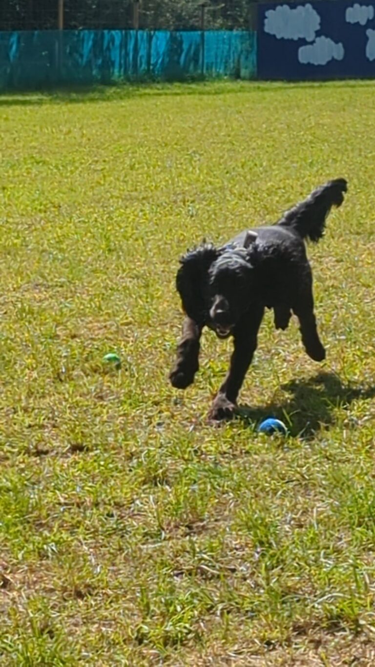 2296 3ca89592cc8b8500fa78972882070861 1 768x1365