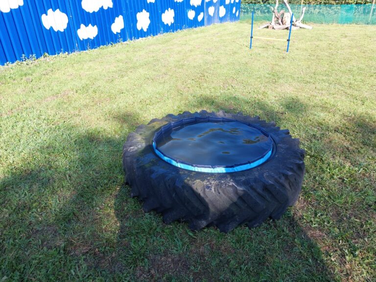 2296 8119722903db85a0115fce39847d0581 1 768x576