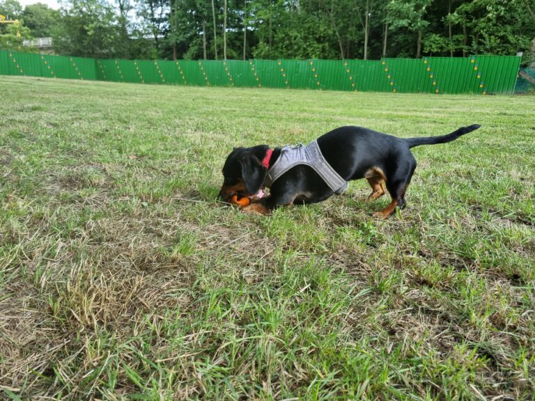 2296 87486018d05d2dc4c510328810d2c5bd 1 768x576