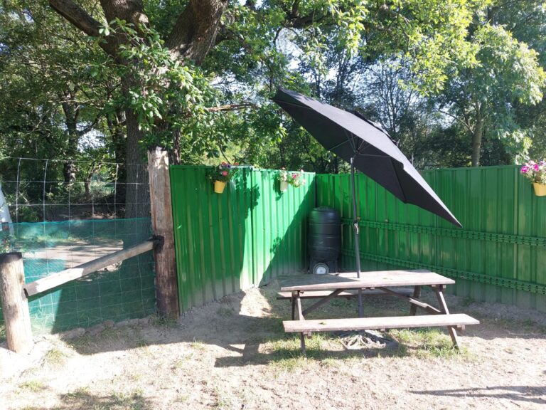 2296 98ffea3796cca087b700d182a528c8af 1 768x576