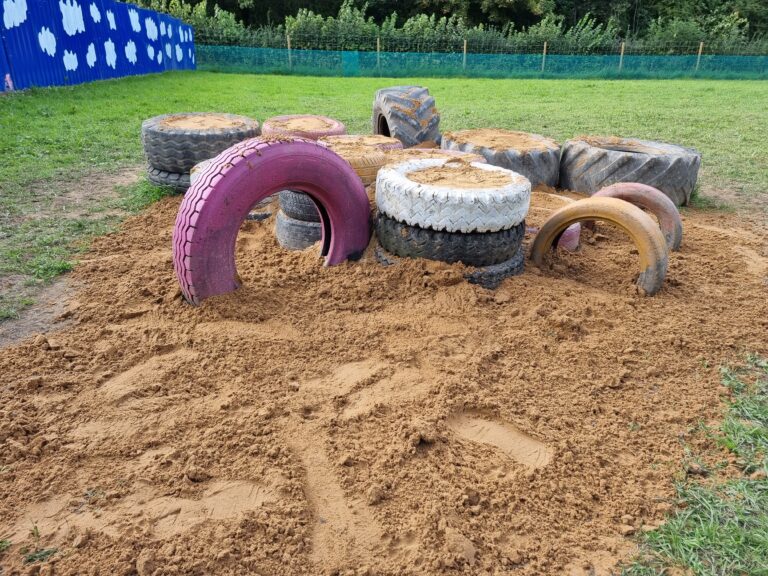 2296 ea70f6304725cdf38b4c8d91ef9b6fa0 1 768x576