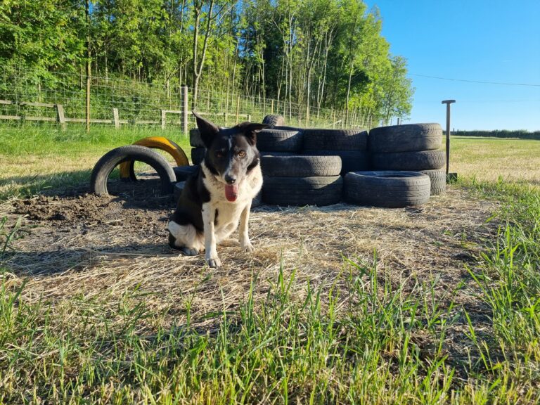 2296 fb5fee1d2be8a26b0977af7747abf153 1 768x576