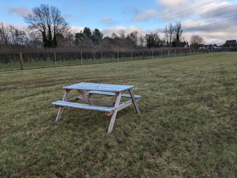 2298 1958c0a1984ae69a4f6d158d1e09b423 1 768x577