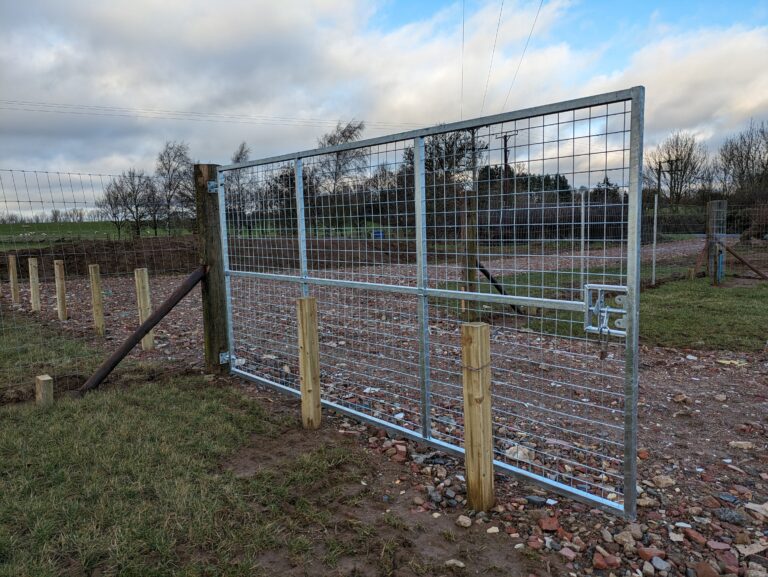 2298 74422c3d9d2827dacd9e59b6f7151978 1 768x577