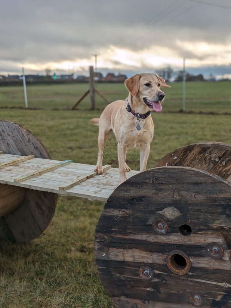 2298 7ea334f111f6d89dcb7811b85cdb774a 1 768x1023