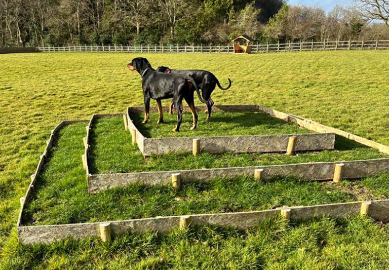 2301 e3bb453dad2a618e917da4f86672f4d1 1 768x533