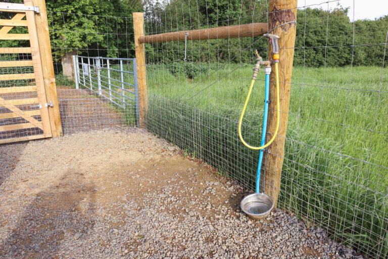 2312 fc0d2584d6c09eeac9376b50c2ff350c 1 768x512