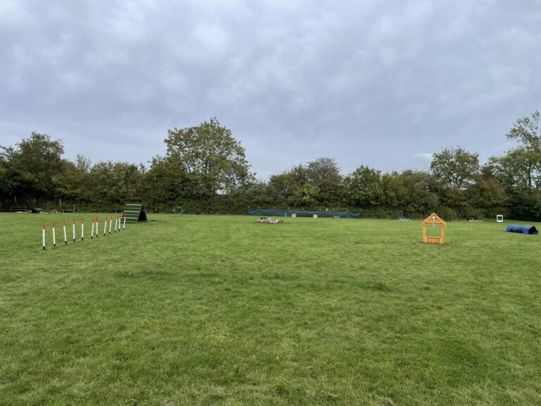 Agility area 768x576