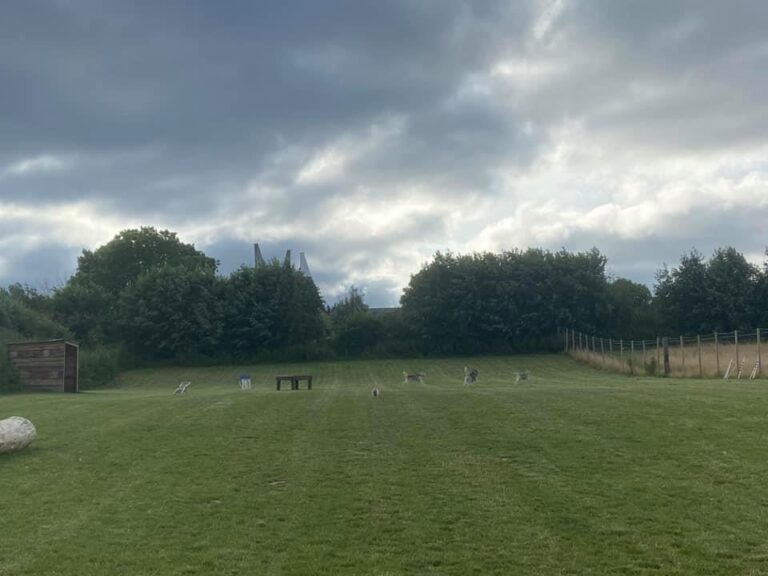 Charliee 10 1 768x576