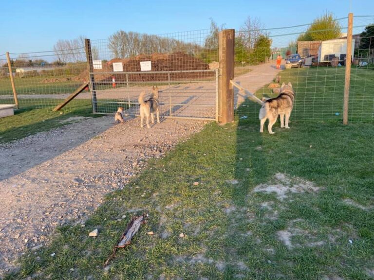 Charliee 12 1 768x576