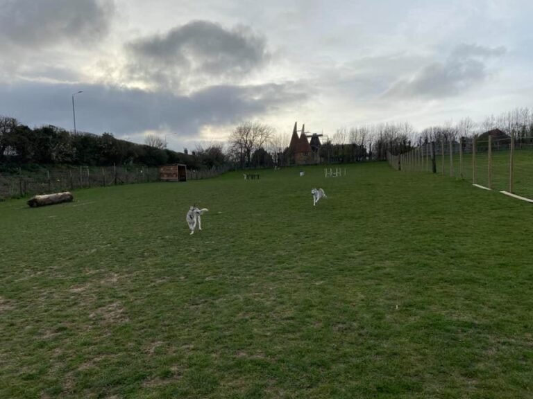 Charliee 16 1 768x576