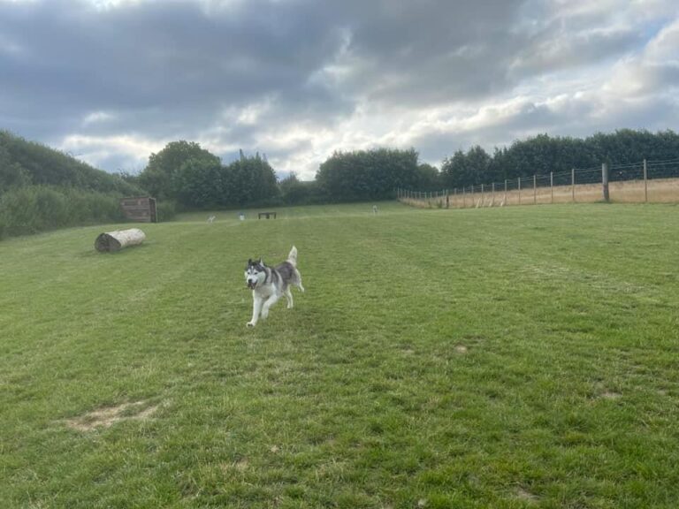 Charliee 7 1 768x576