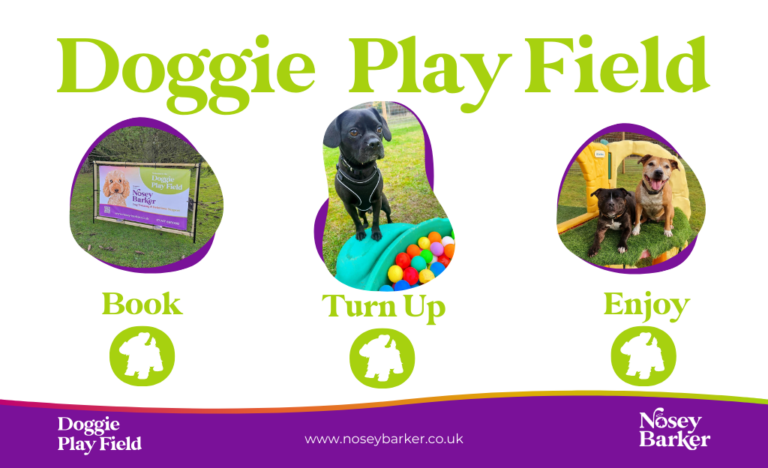 Doggie Play Field Landscape 1 768x468
