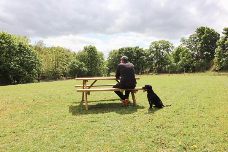 Paw Paddock seating area 768x512