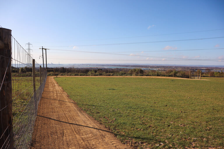 View at Portsdown Hill Paw Paddock 768x512