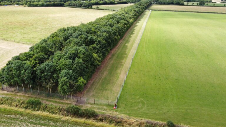 dji fly 20230719 151810 269 1689777249736 photo optimized 768x432