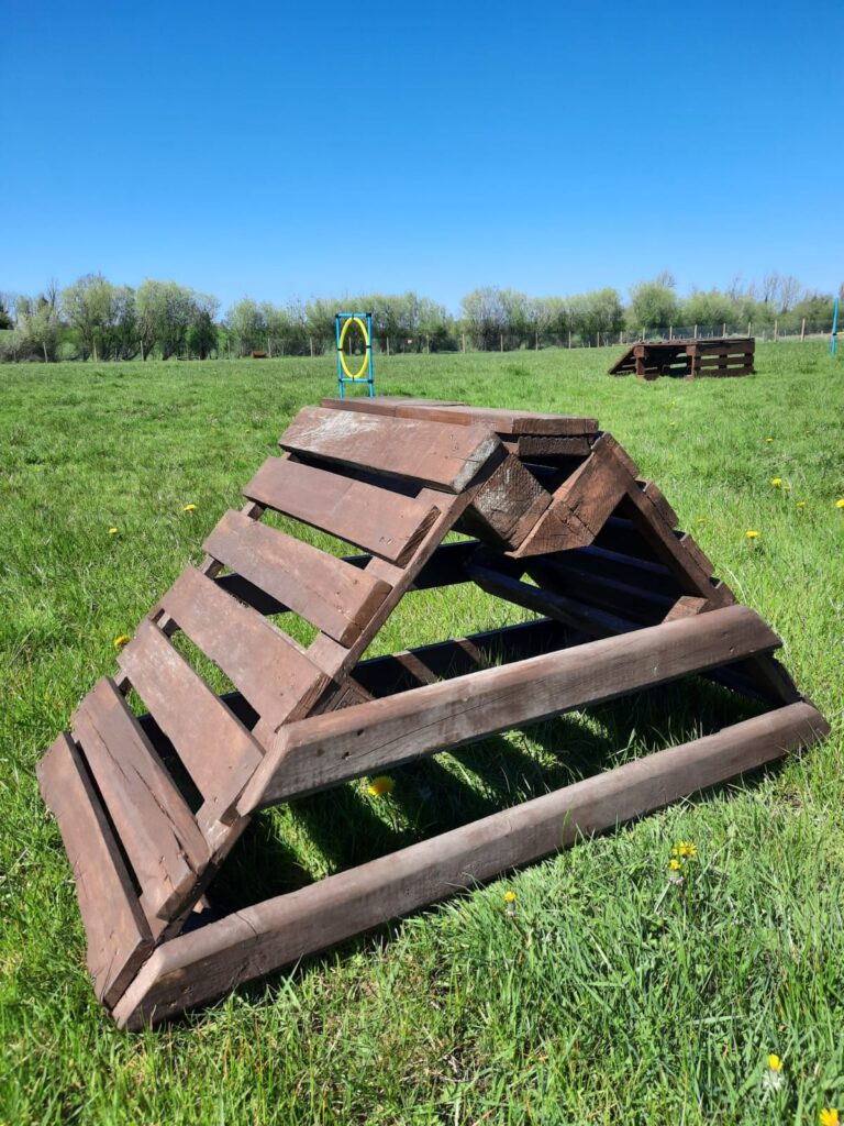 woofland dog park agility 768x1024