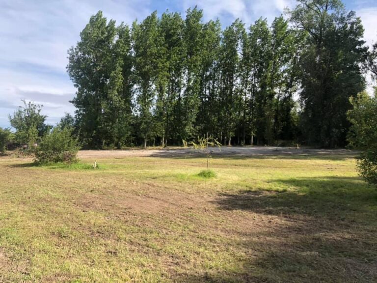 109394394 10158052887893725 4295250288782168220 n 768x576