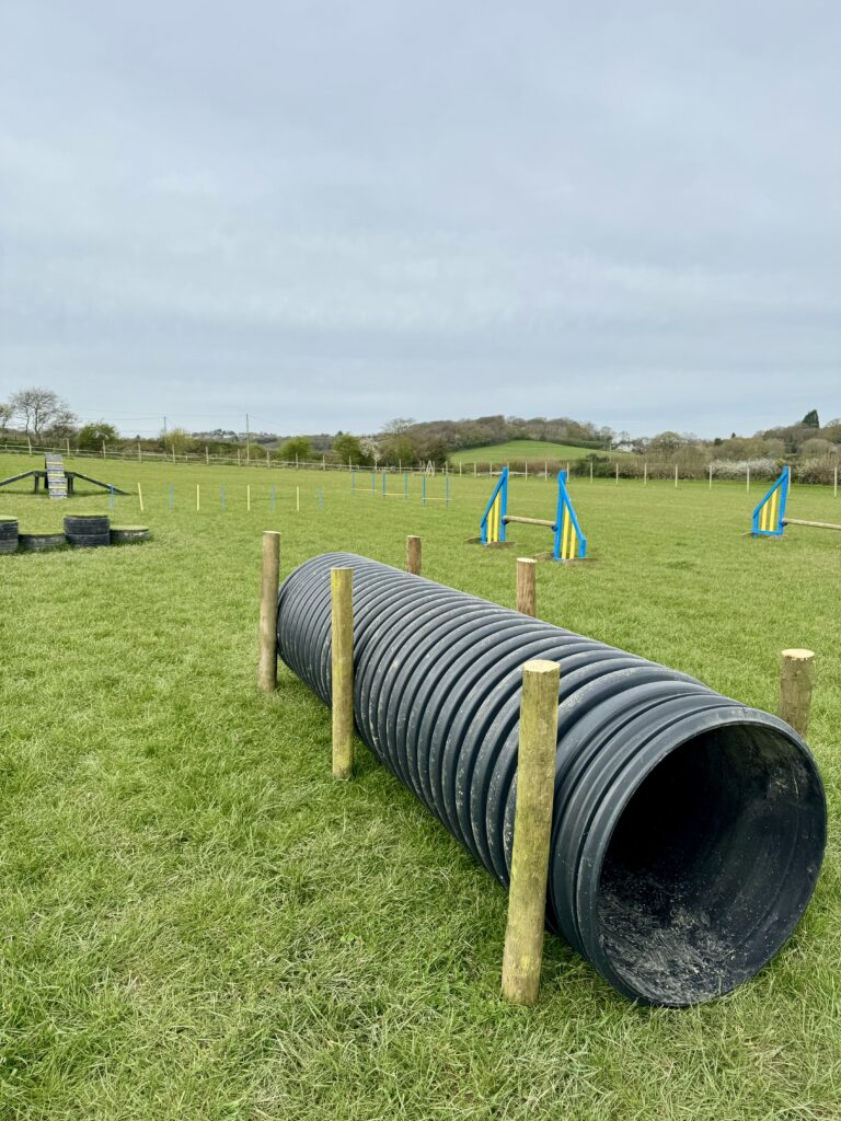 IMG E9050 Copy 768x1024