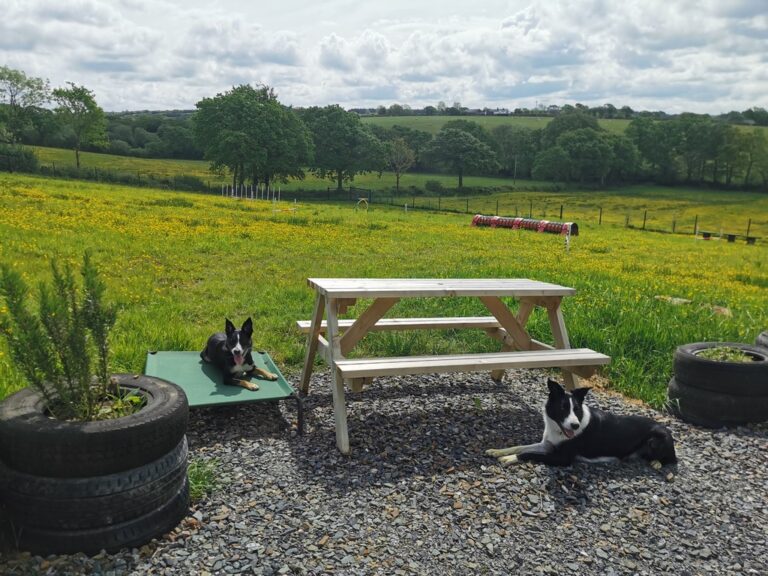 1CACC83C BC05 4CC5 B26A 12692E144182 1 105 c 768x576