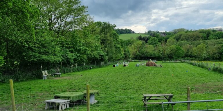 20240514 162909 768x384