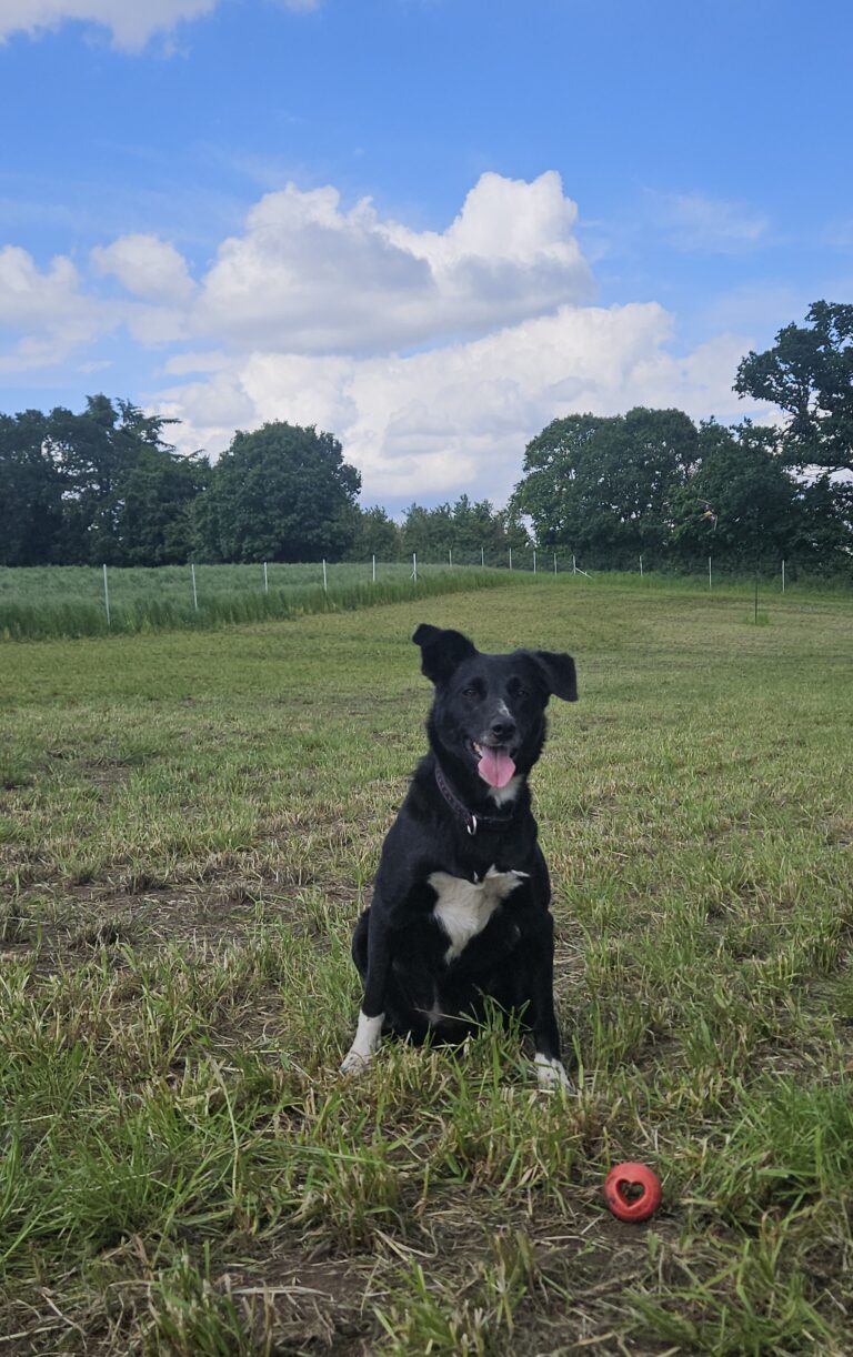 20240525 155343 768x1222