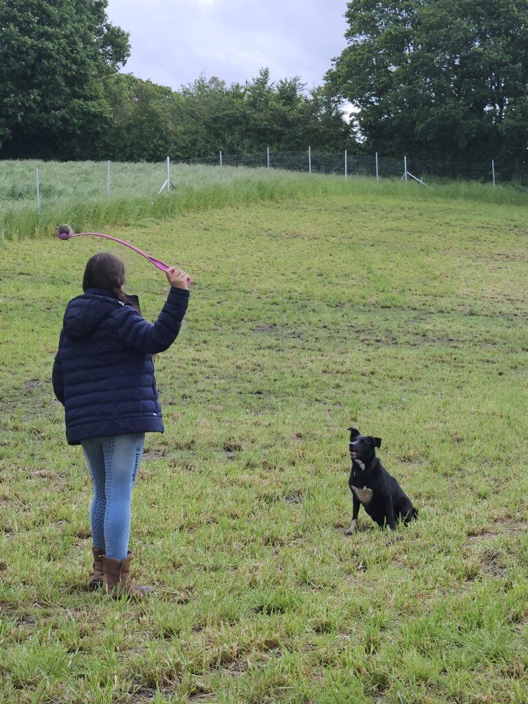 20240526 153450 768x1024