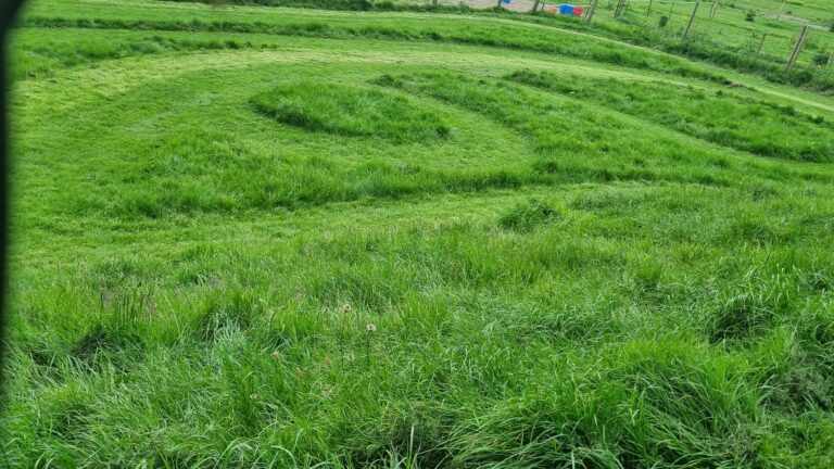 20240603 155425 768x432