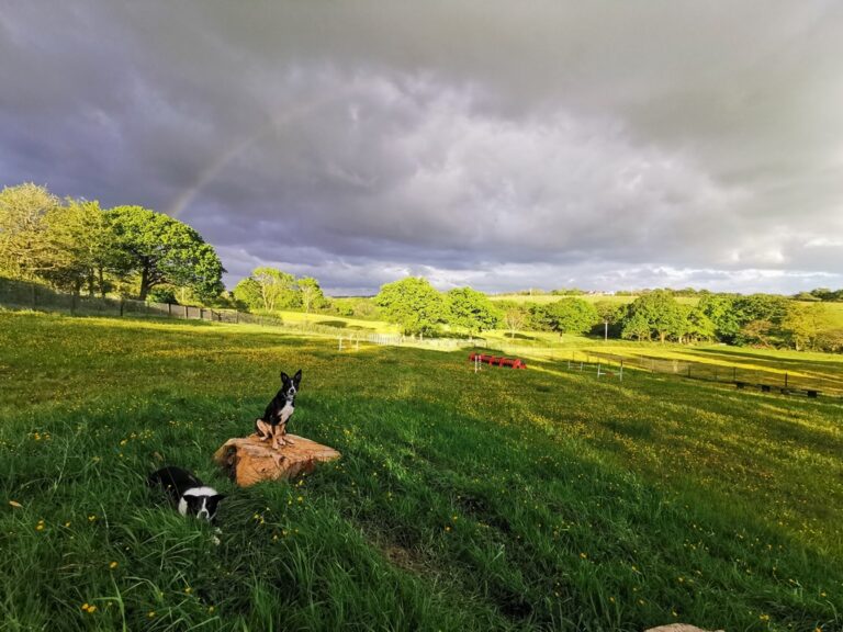 9033FF1F AF43 465A 88FF CB4A3696C98F 1 105 c 768x576