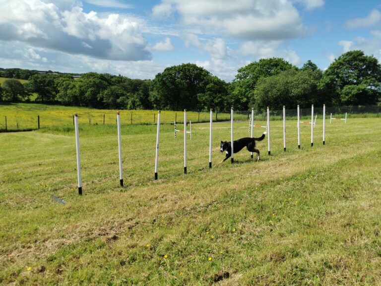 DCDFA1A0 9544 4F1A AFCE E40F853CDA20 1 105 c 768x576