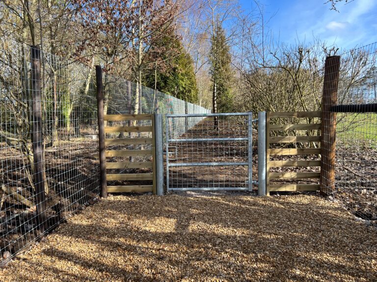 23.03.10 Internal entrance 768x576