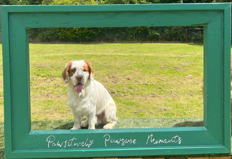 24.06.11 Bradman Photo Frame  768x527