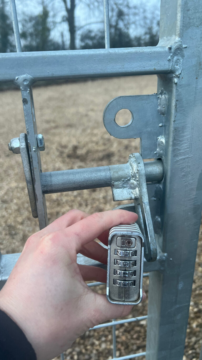 5E6BD9AB 730A 4E4C A604 3A1A159527BC 768x1365