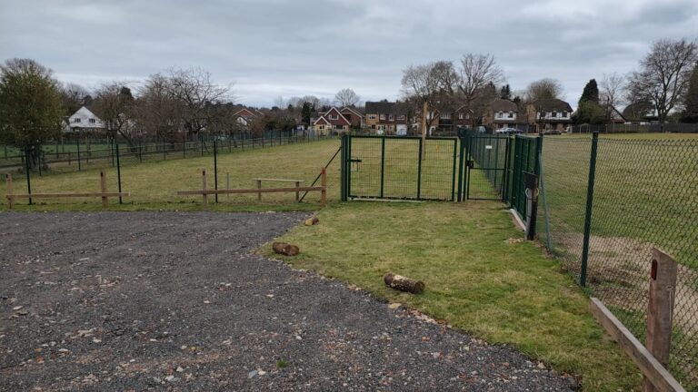 IMG 20240130 WA0003 768x432