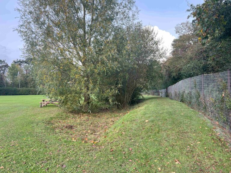 IMG 1473 downsized 768x576