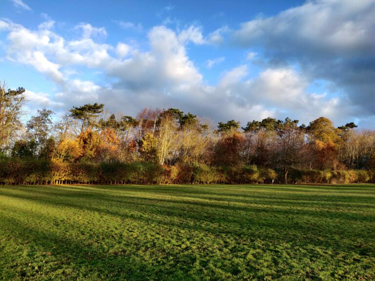 IMG 20231124 084024 resized 768x576