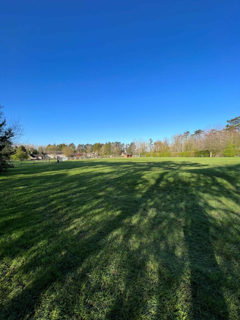 IMG 8819 resized 768x1024